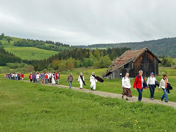 Zuger Wallfahrer auf ihrem Weg übers Moor von Rothenthurm