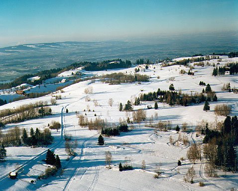 Winteridylle auf dem Zuger Hausberg. Grosse Teile des Zugerbergs sind intakte Naturschutzgebiete – von der Stadt innert gut einer halben Stunde zu erreichen.