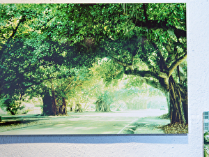 Vernissage: 