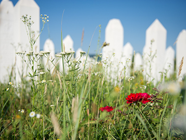 Friedhof in Kalesija