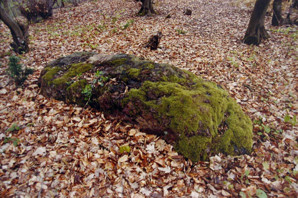 Nadgrobni spomenik koji su naši preci donijeli na ove prostore prije 500 godina.
Grabstein, der unsere Vorfahren vor 500 Jahren hierher brachten.