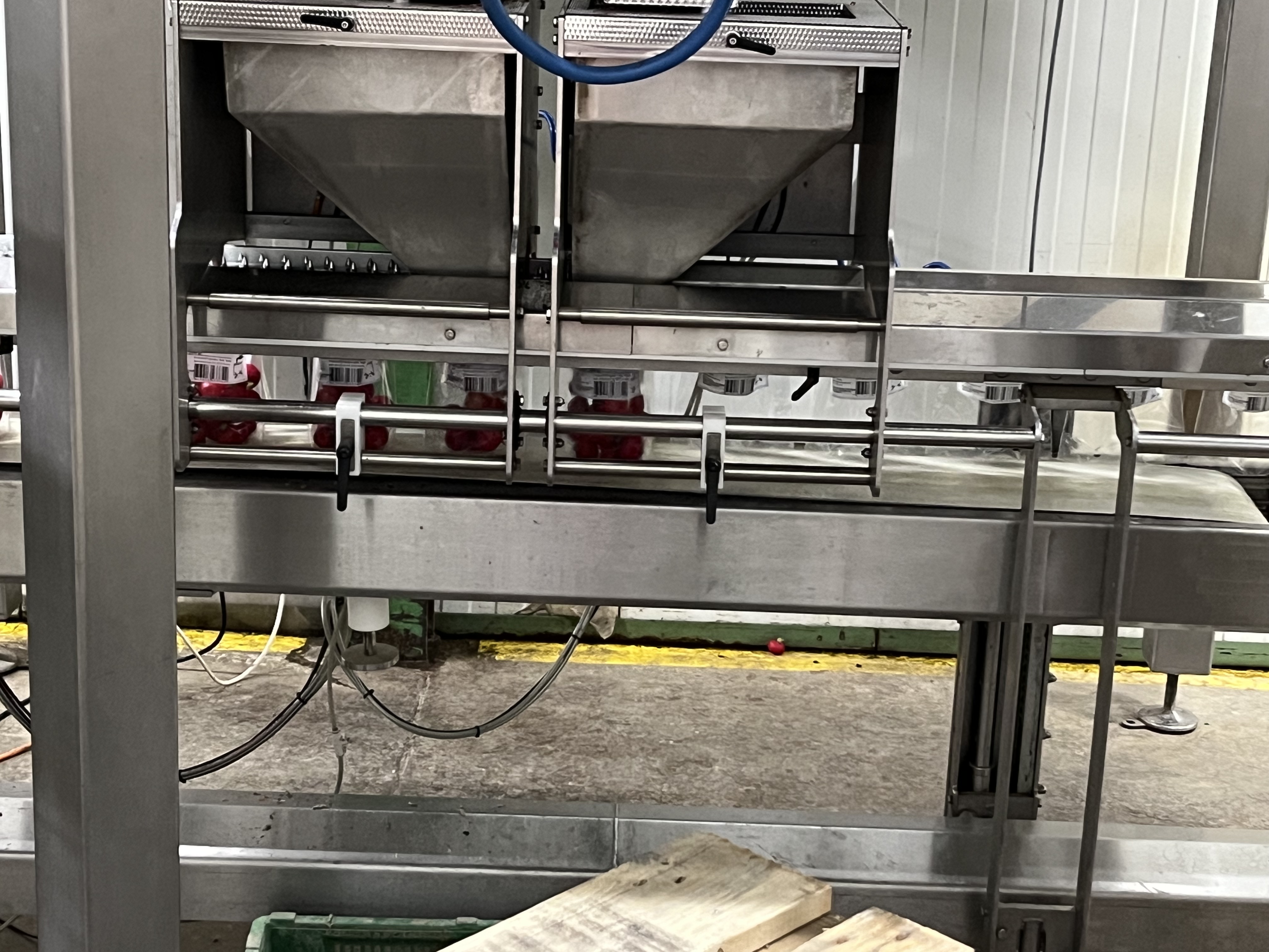 Die Radiesli werden in Säckli verpackt und verschweisst.