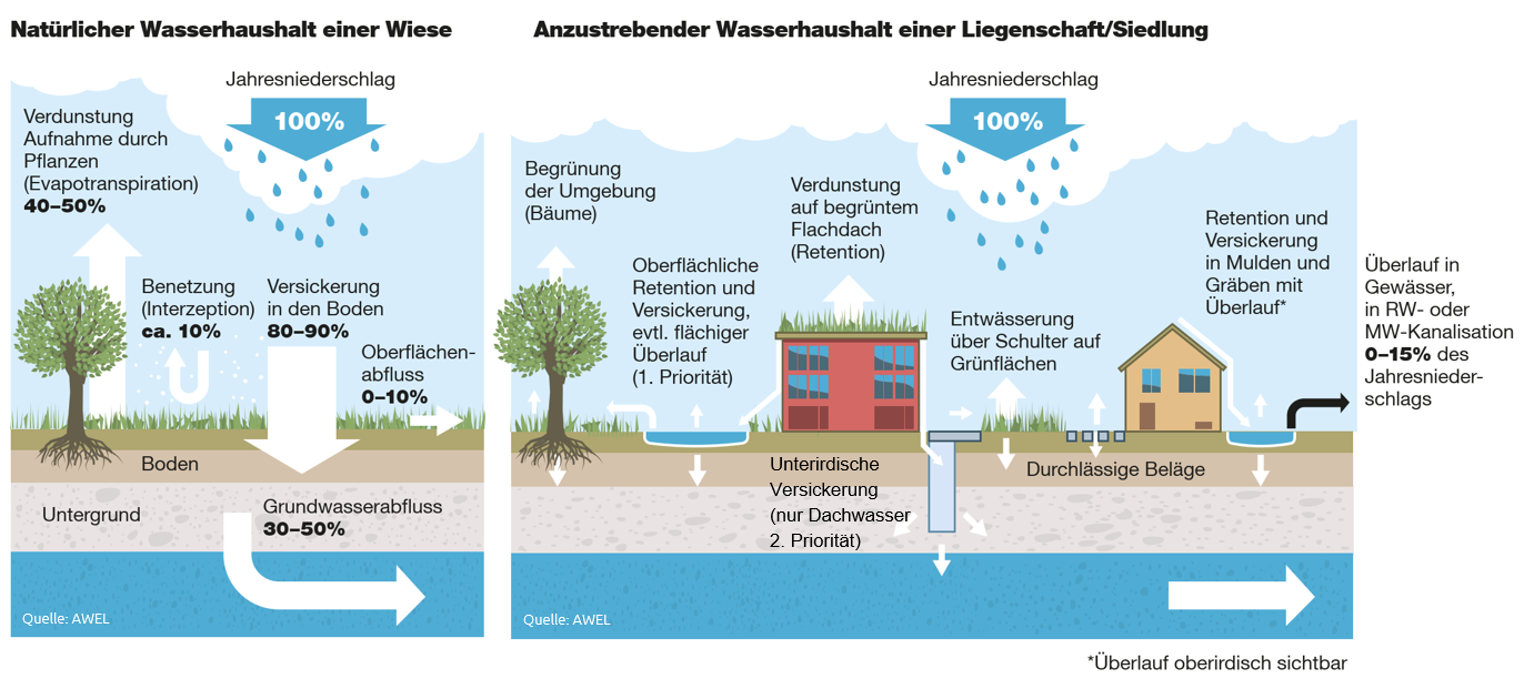 Regenwasser Grafik