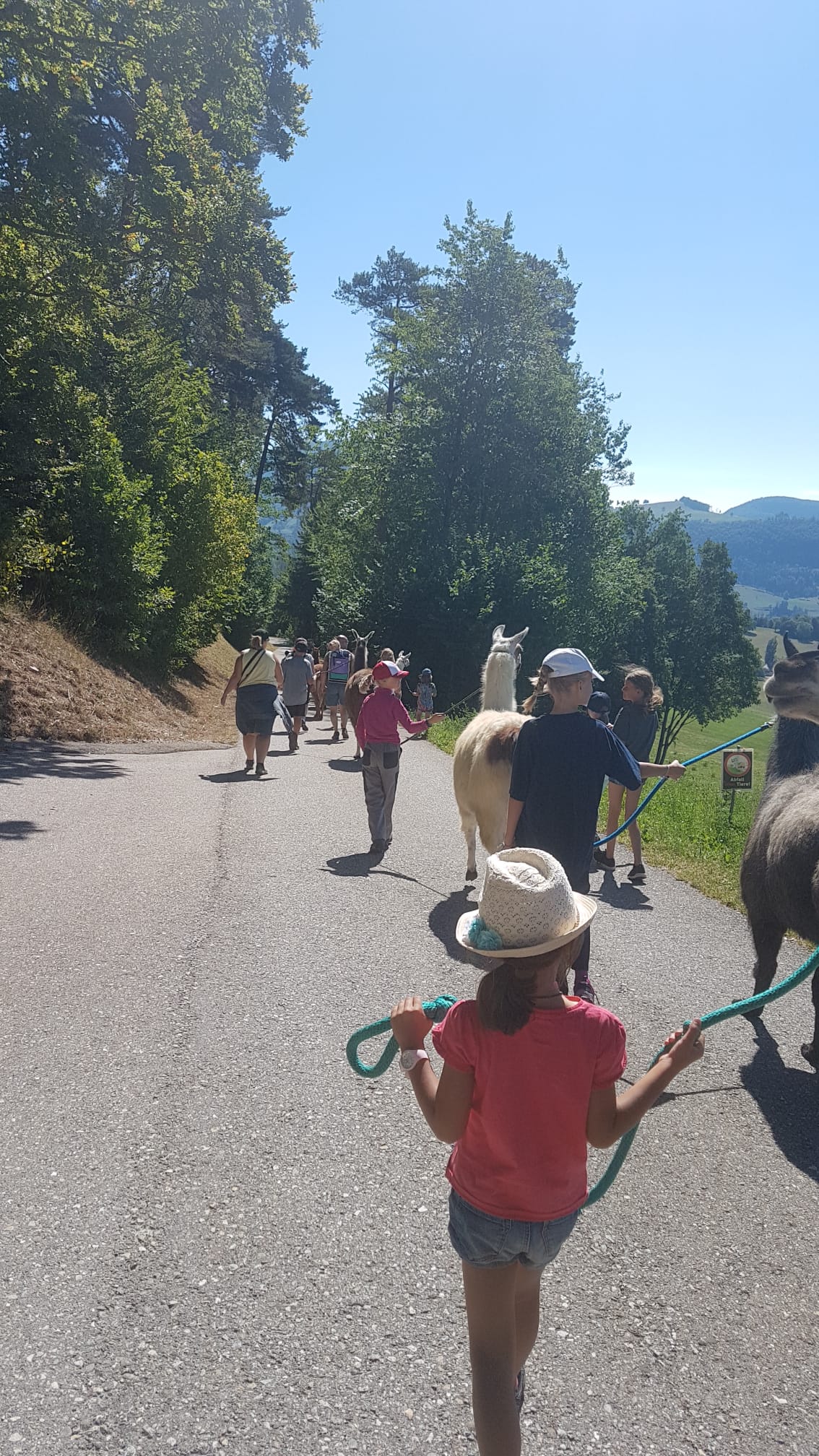 Lamatrekking