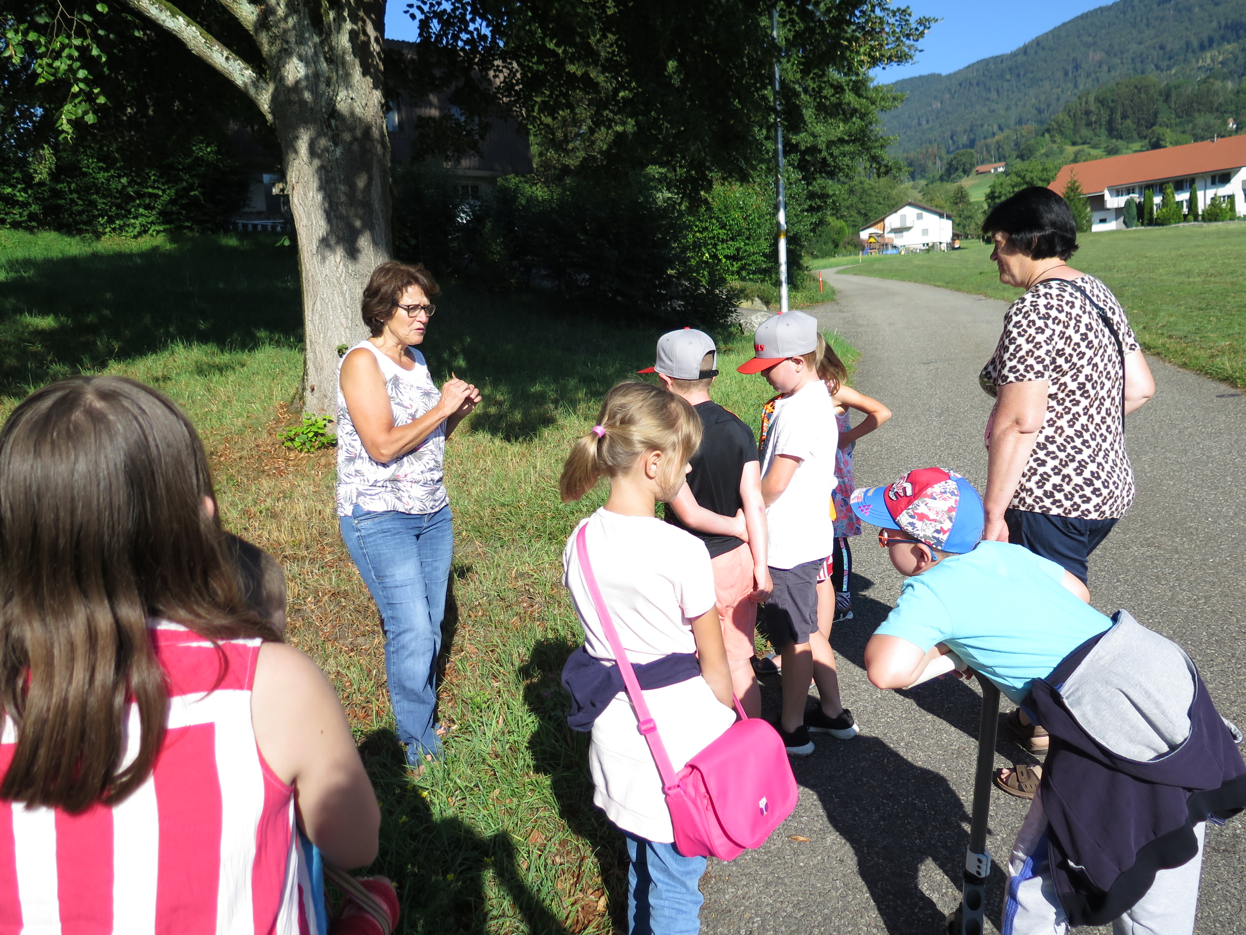 Bienenerlebnis bei Heidi Rütti.