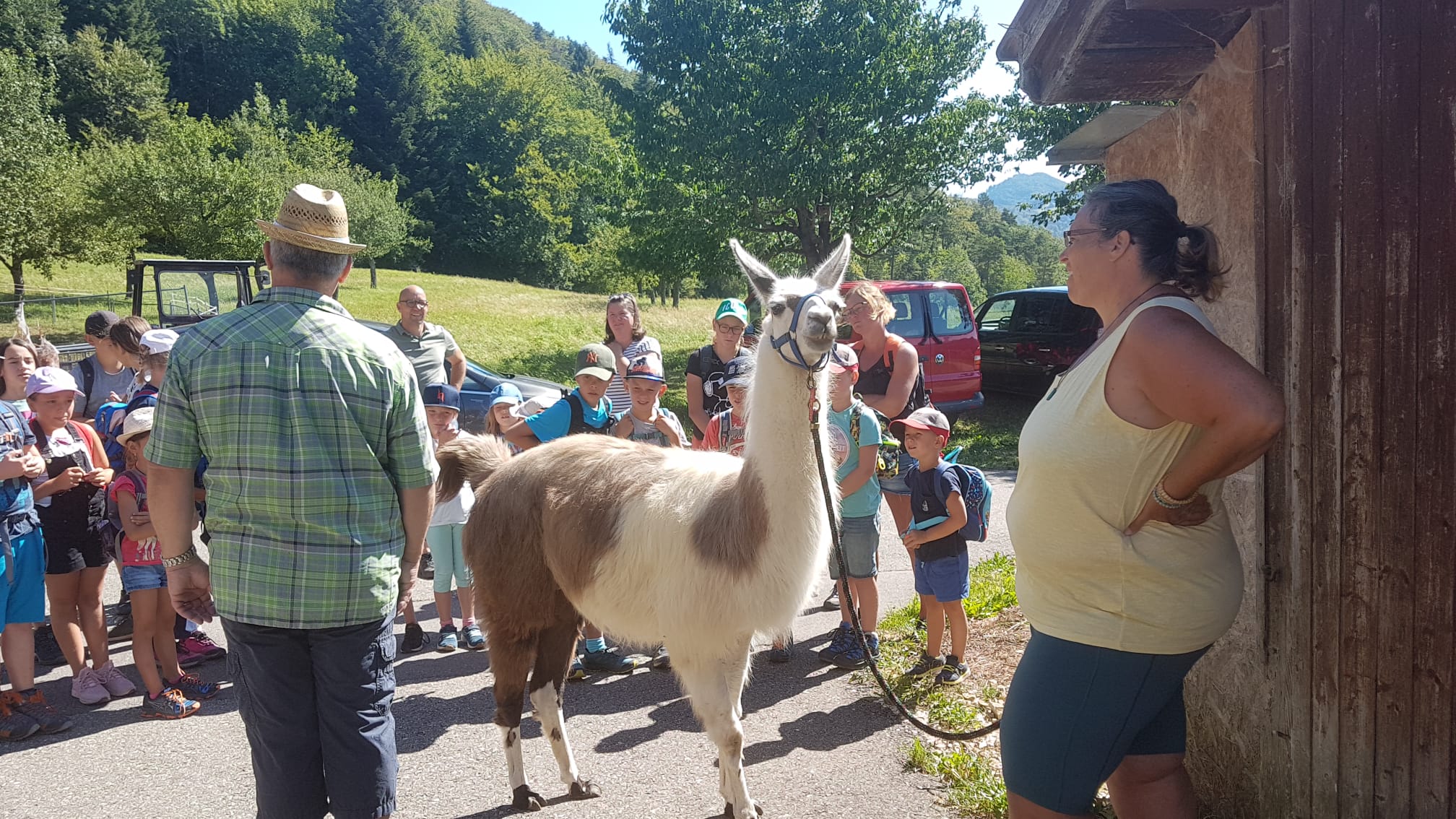 Lamatrekking