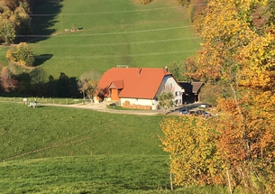 Foto Bergwirtschaft Untere Tannmatt