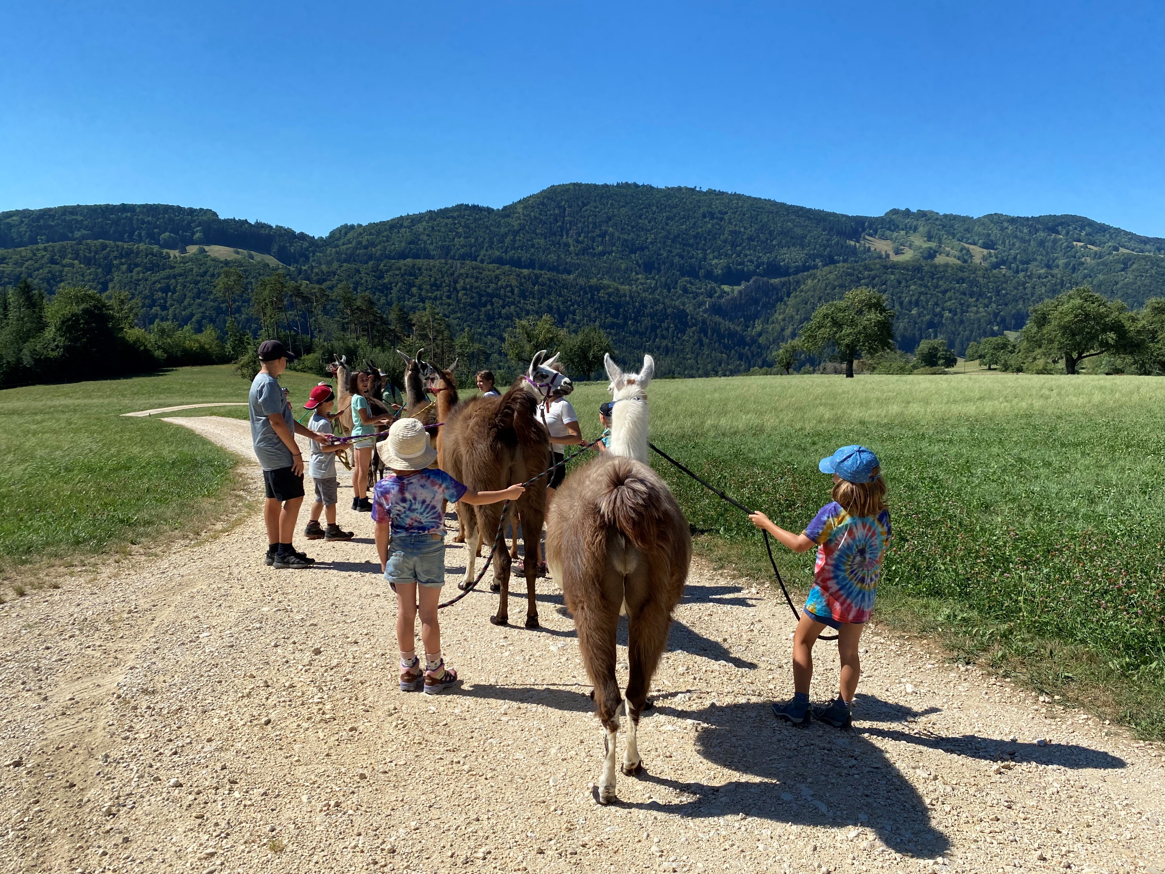 Lamatrekking