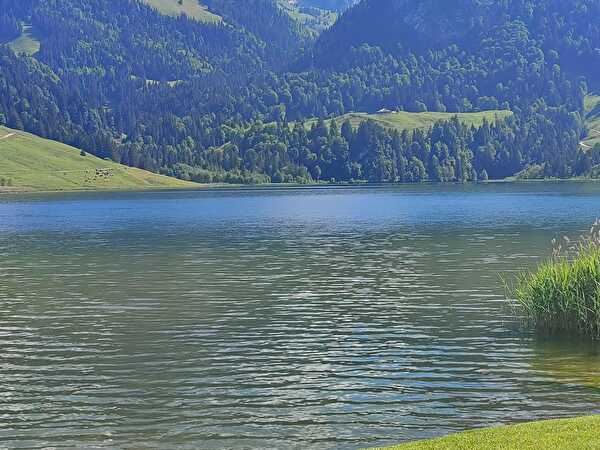 Schwarzsee