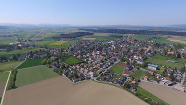 Koppigen