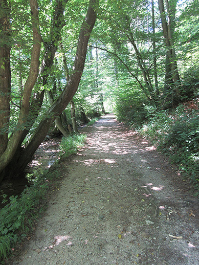 Bachweg