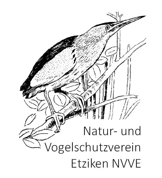 Logo Natur- und Vogelschutzverein Etziken NVVE