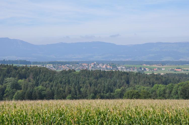 Aussicht Chlichliflue Steinhof