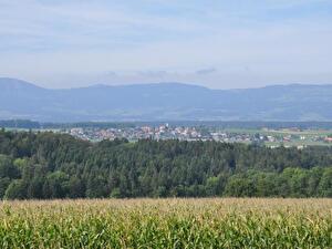 Aussicht Chlichliflue Steinhof