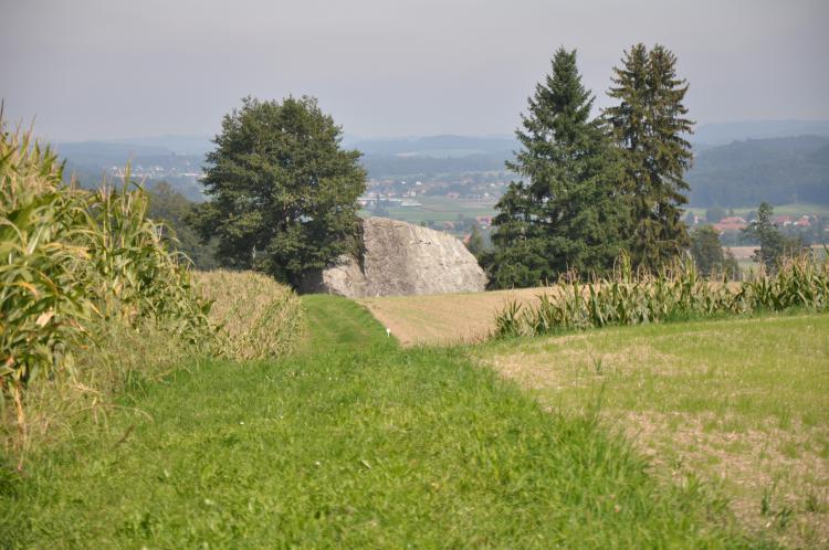 Grossi Flueh Steinhof