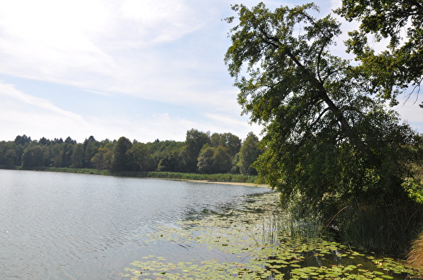 Foto Burgäschisee 