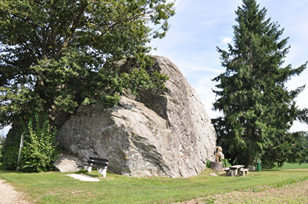 Foto Findling Grossi Flue Steinhof