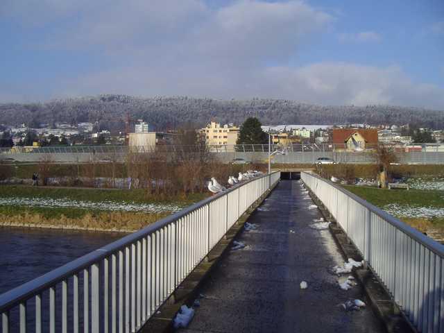 6. RANG	Henryk Pawlowski (Vom Gasibrüggli ins Dorf)