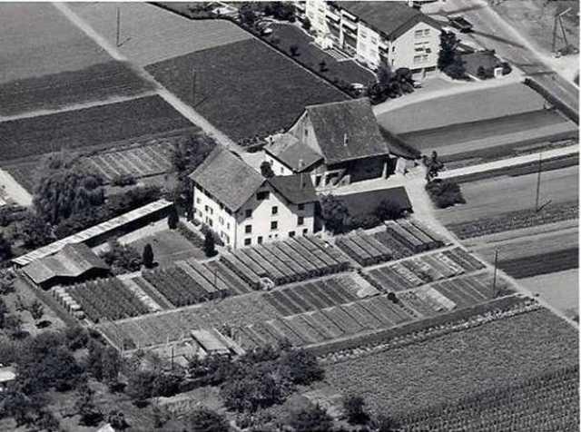 10. RANG Lilli Schmid (Oberengstringen als Gärtnerei)
