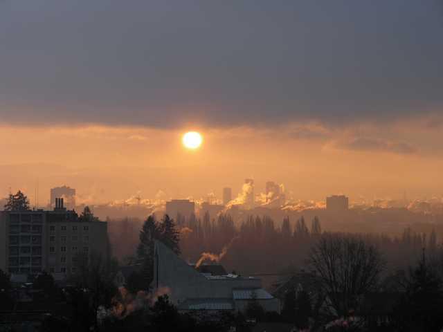 2. RANG	Brigitte Gubler (Winterimpressionen)