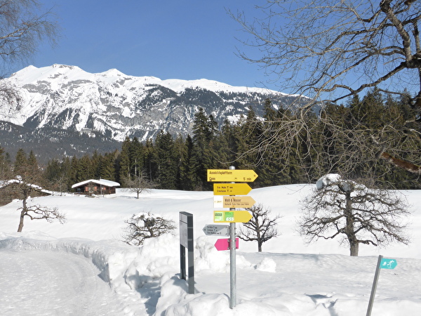 Ganztagesausflug nach Flims
