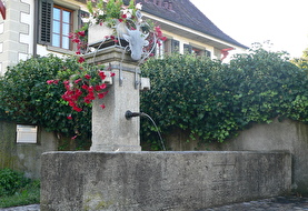 öffentliche Brunnen