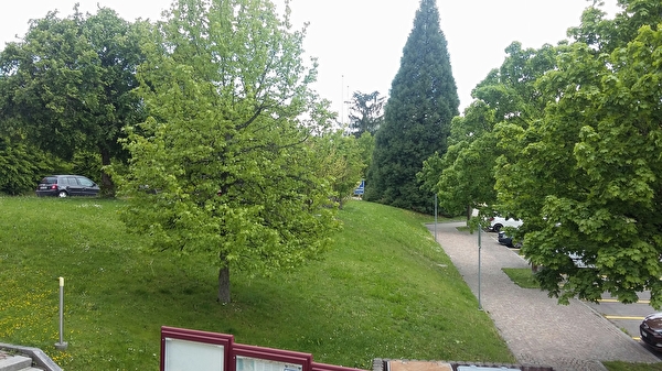 Grünfläche neben dem Gemeindehaus