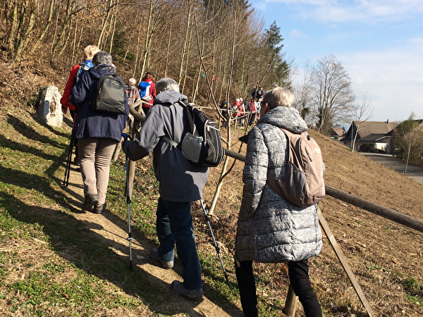 Wanderung Muri - Station Erdmannlistein