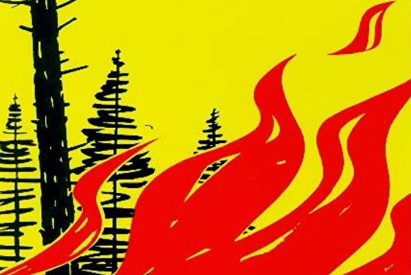 Zeichnung Bäume mit roter Flamme