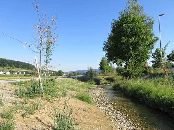Schäflibach