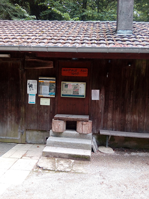 Waldhütte Asp