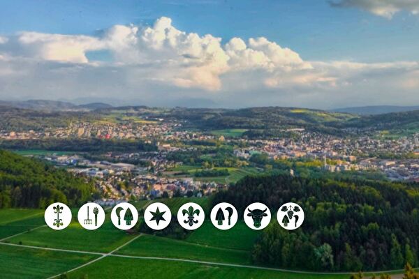 Übersicht über die Trägergemeinden der Limeco
