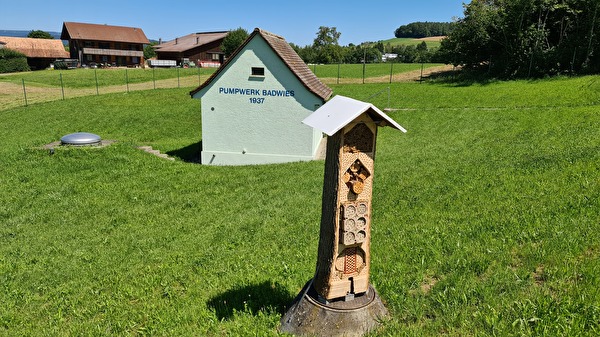 Wasserpumpwerk Badwies