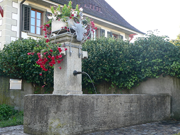 Brunnen in Urdorf