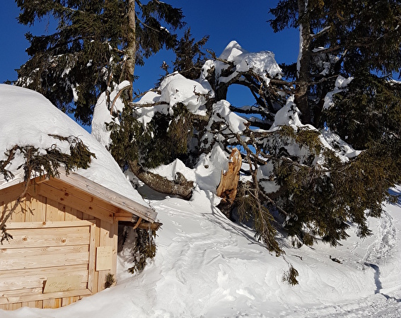 Winterferien Ruhpolding