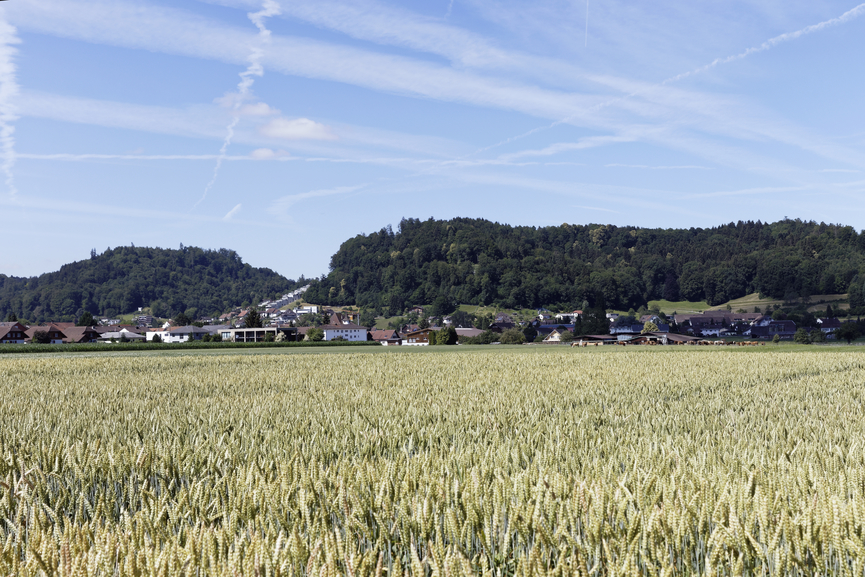 Blick auf Schafisheim