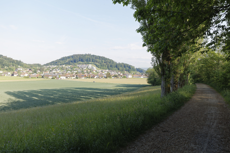 Blick auf Schafisheim aus Südosten