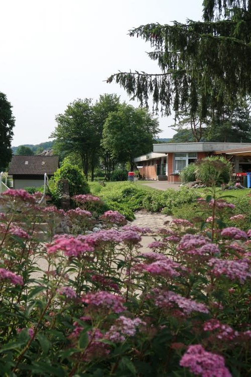 Gartenfläche