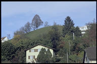Der Fürhoger ist eine Seitenmoräne des Linthgletschers