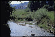 Die Reppisch mit ihren Nebengewässern ist neben der Thur eines der wenigen, naturnah gebliebenen Gewässersysteme des Kantons Zürich