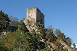 Burg