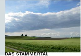 Das Stammertal - Grünes Feld