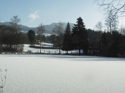 Zugefrorener Ringwiler Weiher