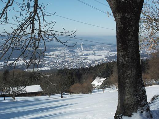 Blick auf Hinwil