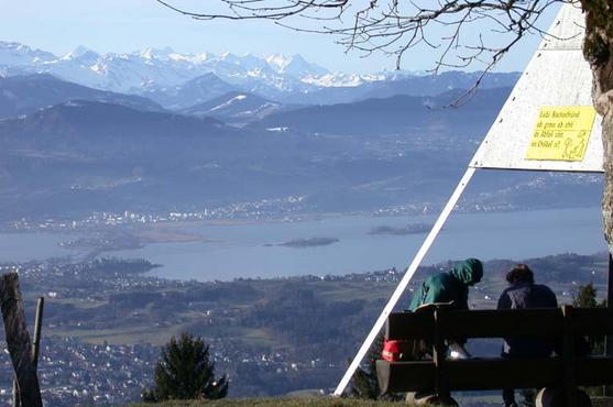 Blick vom Bachtel auf den Zürichsee mit Seedamm (Rapperswil / Pfäffikon SZ); im Hintergrund Innerschweizer Alpen.

