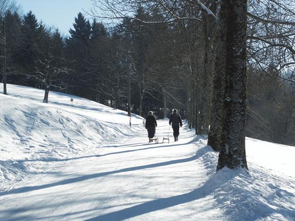Schlittelweg von Orn nach Wernetshausen