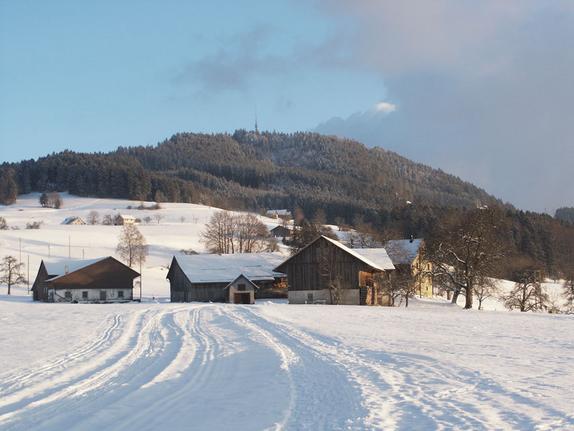 Blick auf den Bachtel
