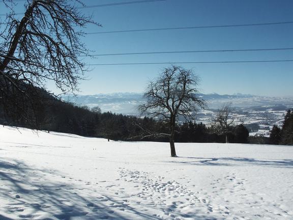 Blick in die Berge