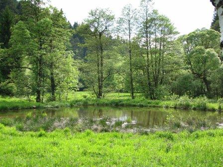 Natur