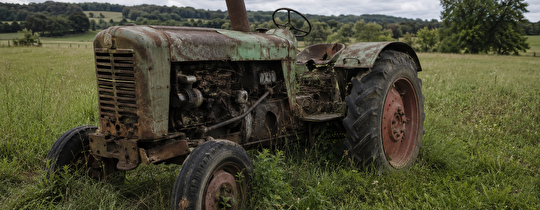 ausgedienterTraktor auf Wiese